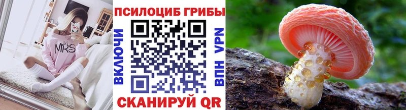 Псилоцибиновые грибы MAGIC MUSHROOMS  Макаров 